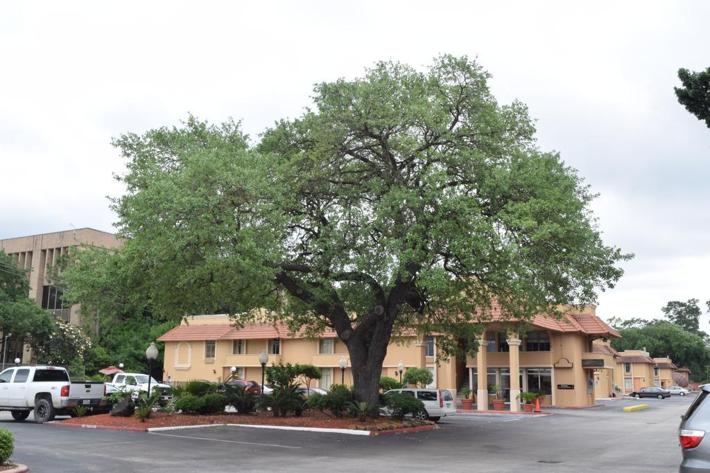 Memorial Inn And Suites هيوستن المظهر الخارجي الصورة